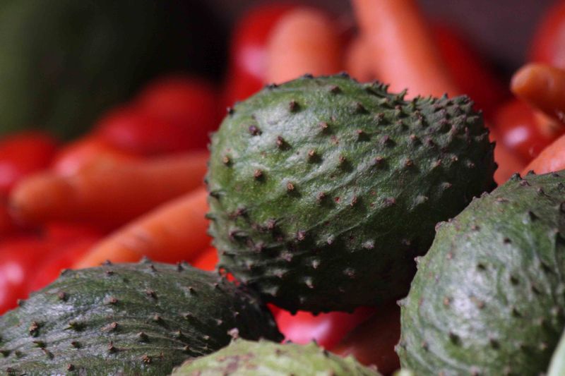 Arusha, Tanzania - Custard Apple