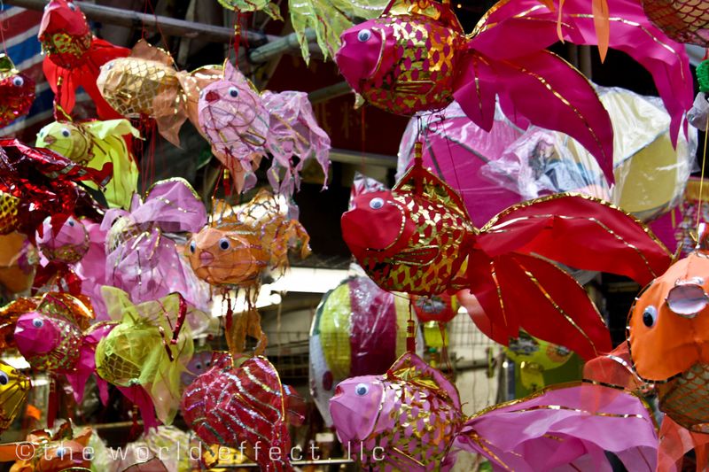 Fish Lanterns. Hong Kong Fish Lanterns. Hong Kong