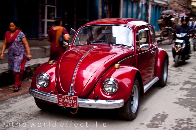 Bug. Kathmandu, Nepal