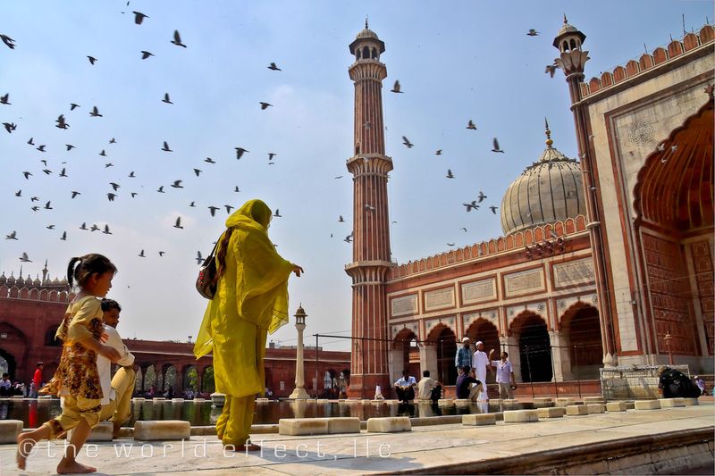  Jama Masjid. Delhi, India