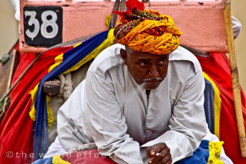 Elephant driver. Amber Fort. Jaipur, India 