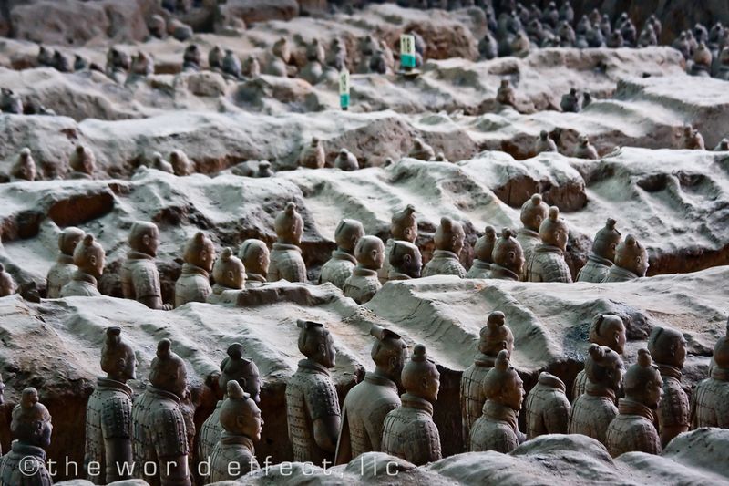 warriors