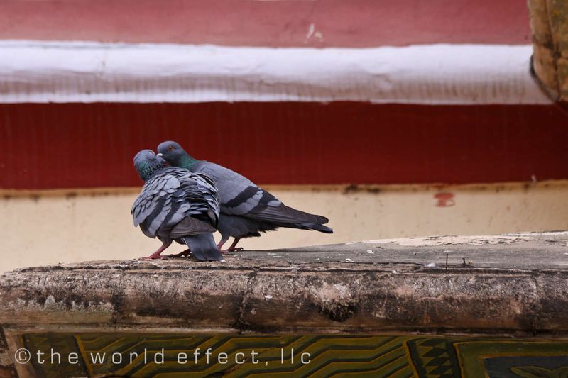 Jaipur, India