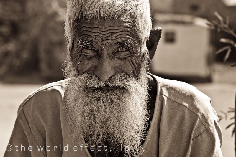A shepherd in Rajasthan, India