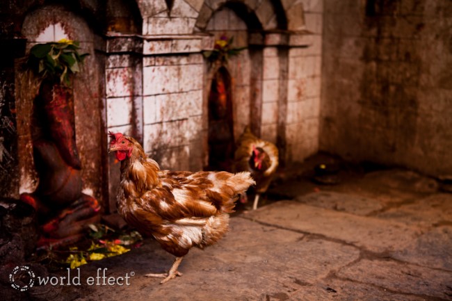 Bhaktapur, Nepal